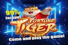 molbet MMK Wave Money KBZPay AYA Pay ငွေပေးချေမှု